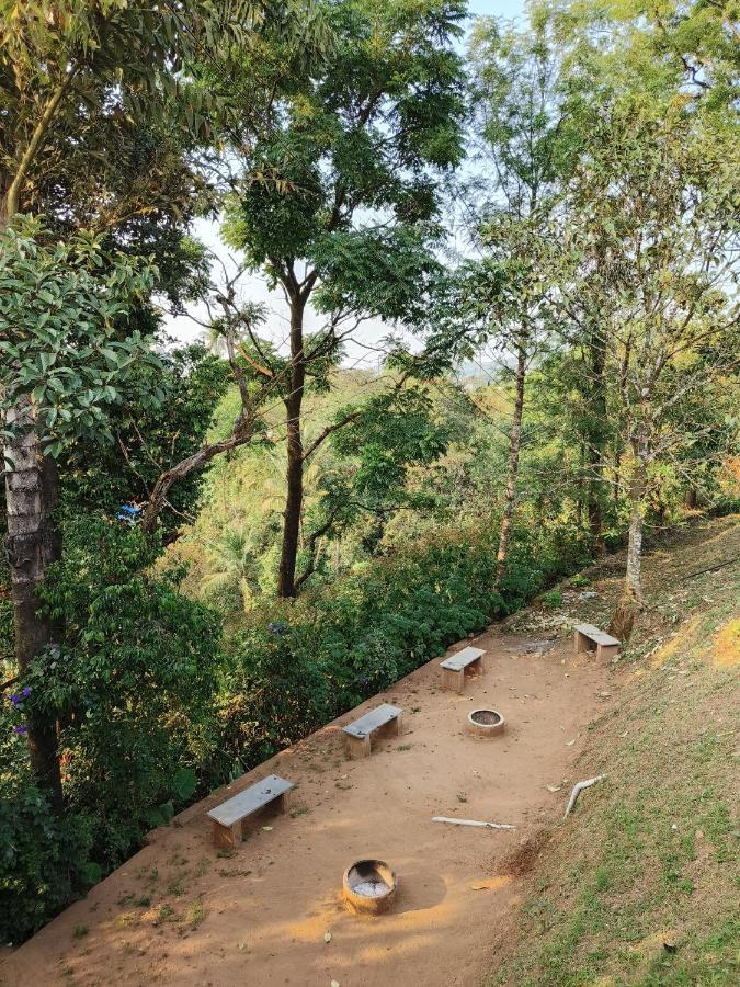 Red Stone Villas Coorg 马迪凯里 外观 照片